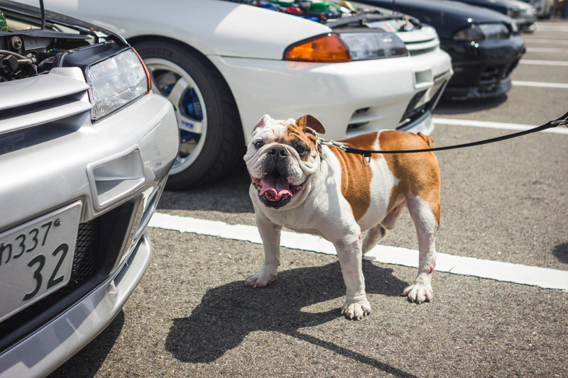 Illustration for article titled Another day, another car show...